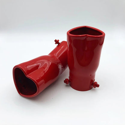 Stainless Steel & Carbon Fiber Heart Exhaust Tip for Car Modification